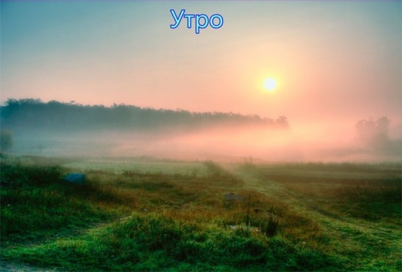 Какое твоё любимое время суток?