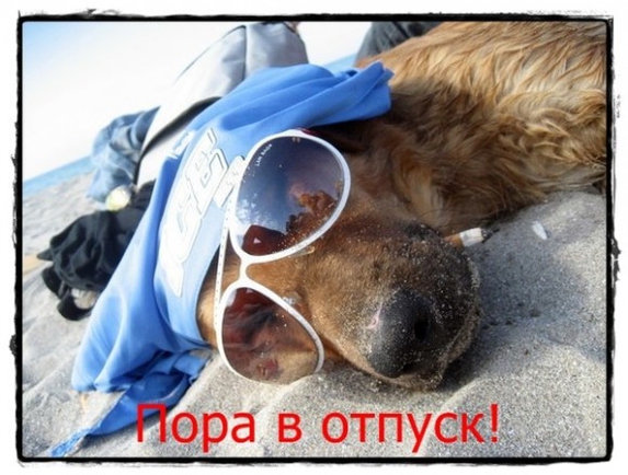 Какое твоё любимое время суток?