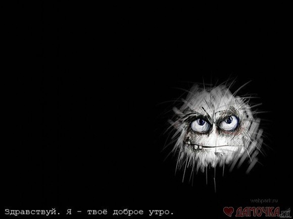 Какое твоё любимое время суток?