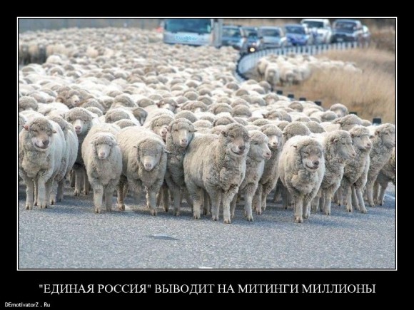 Как выглядит идеальный гражданин РФ? 
