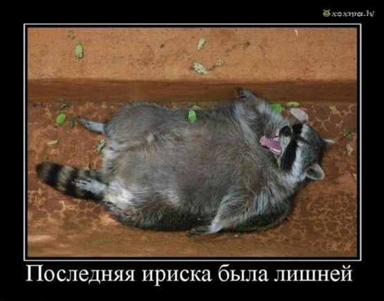 А у Вас есть фотография вас, сделаная сегодня утром (  ну или днём )?