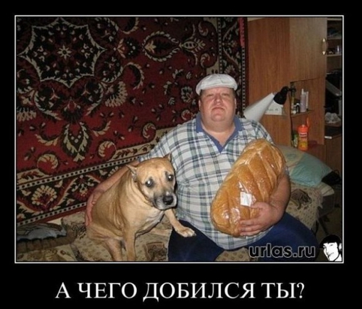 Покажите идеальную жизнь,какая она была бы для Вас?