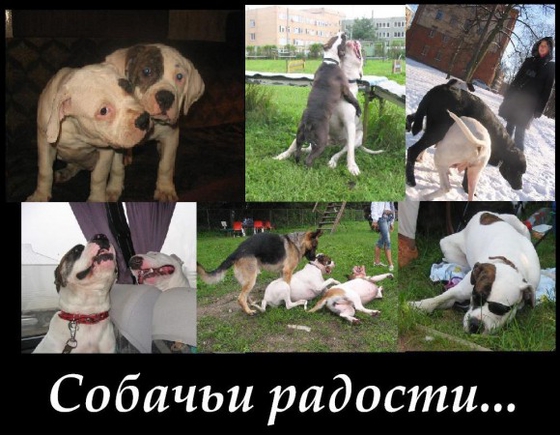 о ком вы сейчас думаете?
