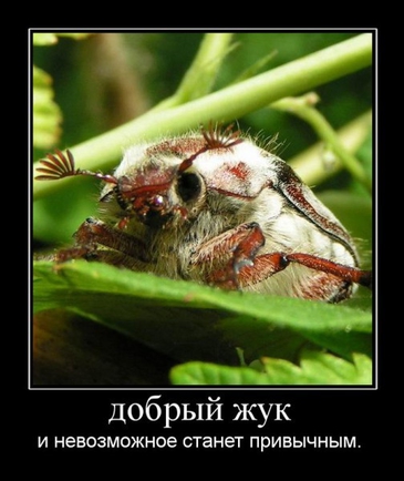 На кого вы похожи или покажите свою сущность? )))