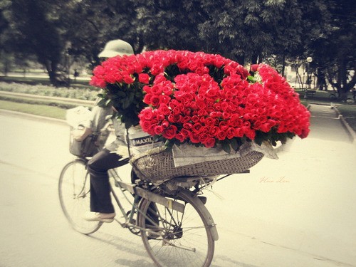 покажите цветы, которые вы бы хотели, чтобы вам подарили?