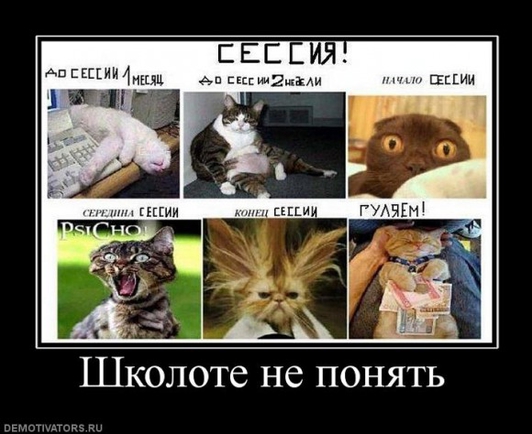 Какие у Вас ассоциации со студенчеством?