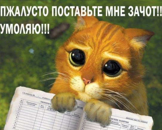 Какие у Вас ассоциации со студенчеством?