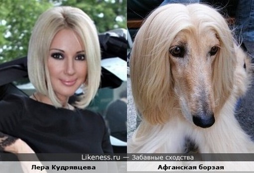 Покажите человека, похожего на какую-нибудь птицу или животное?