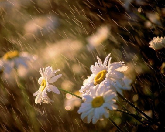 Покажите вашу любимую природную стихию?