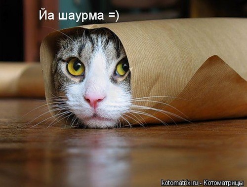 Покажите ваше настроение?