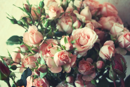 Покажите красивые фотографии с цветами