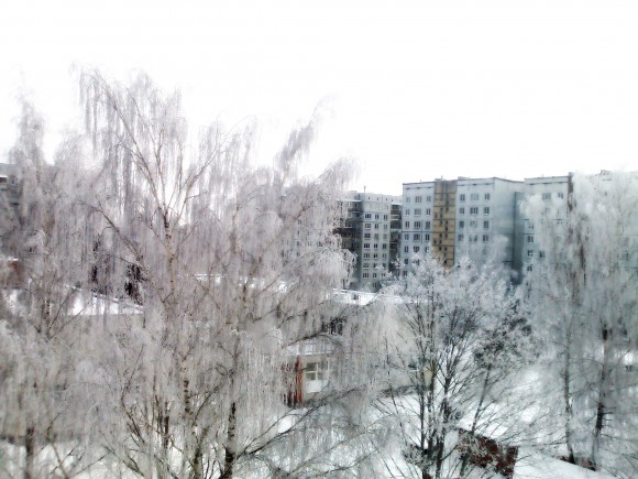 Покажите вид из вашего окна?