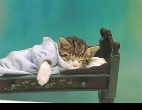 что вы делаете когда болеете???