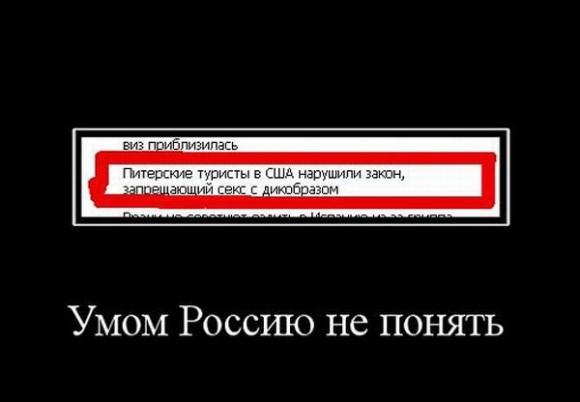 Покажите мне фотографию в жанре "Предел идиотизма"   ?!