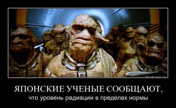 Покажите мне фотографию в жанре "Предел идиотизма"   ?!