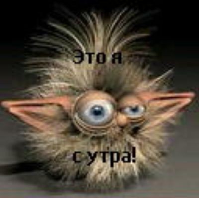 На кого из мультяшек, вы похожи с утра?