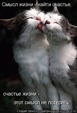 А как выглядит ваш смысл жизни?)