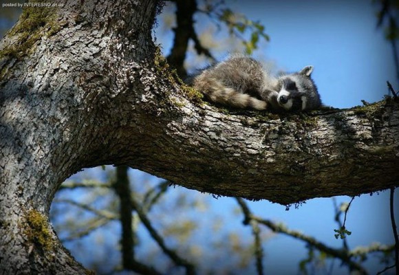 Покажите ваше настроение,что у вас сейчас на душе?