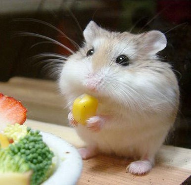 Покажите ваше настроение,что у вас сейчас на душе?