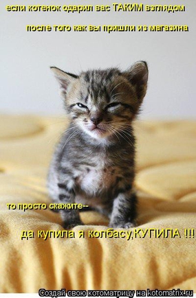 Пакажите фото любимого вашего животного=)