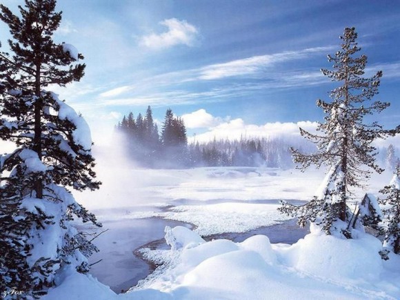 Давайте вспомним зиму!Покажите фото сделанные этой зимой?