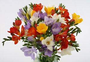Покажите огромный букет цветов - ярких и аппетитных :)