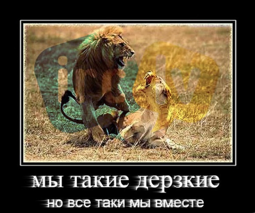 Ирц - такой ирц!