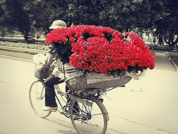 Ваши любимые цветы?