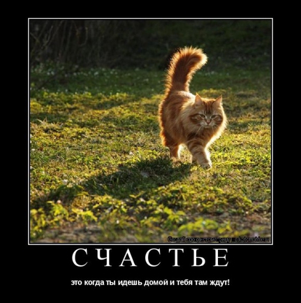 Покажите счастье!)