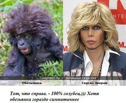 Покажите гея! Как по вашему выглядит среднестатестический гей? 