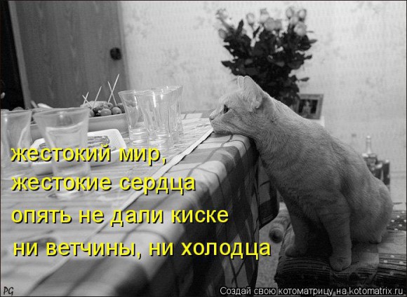 Каким вы видите мир ?
