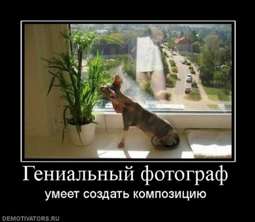 Покажите гениальную фотографию?)
