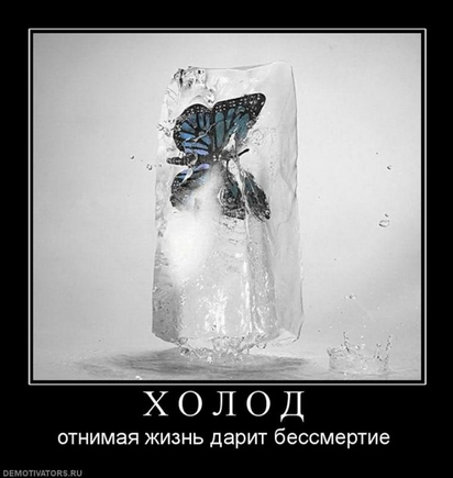 Покажите гениальную фотографию?)