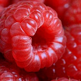 Какие летние ягоды , самые вкусные и ароматные?