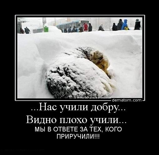 покажите демотиватор,который затрагивает до слёз