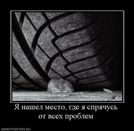 Покажите смешные новые демотиваторы?