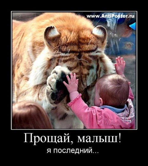 покажите демотиватор,который затрагивает до слёз