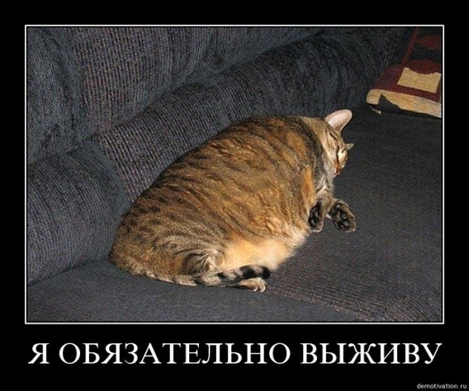 покажите демотиватор,который затрагивает до слёз