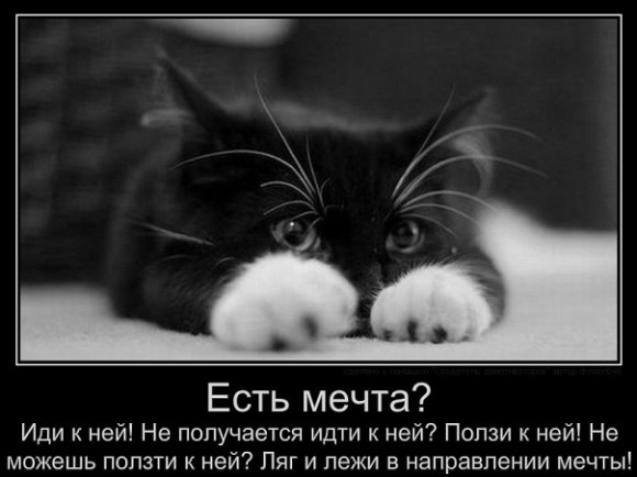 покажите демотиватор,который затрагивает до слёз