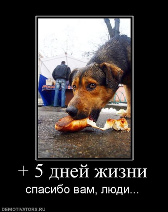 покажите демотиватор,который затрагивает до слёз
