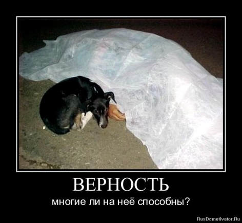 покажите демотиватор,который затрагивает до слёз