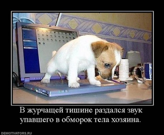 Покажите что нить позитивное и одновременно жуткое.
