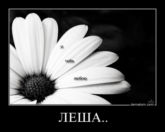 покажите свой любимый демативатор?!