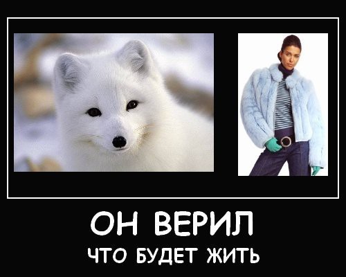 покажите свой любимый демативатор?!