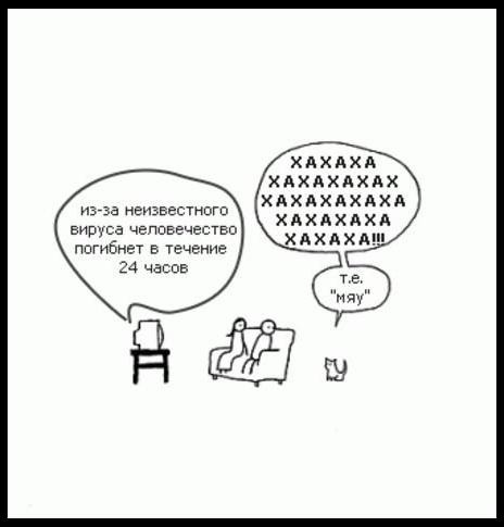 Покажите лучшее, что вы видели про котэ?