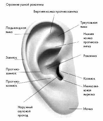 Что последний раз у Вас болело???