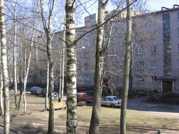 Есть фото вашего вида из окна?