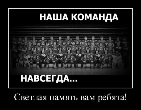 Покажите картинку со смыслом.Впечатляющую.