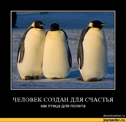 Лучшее, что создал человек?
