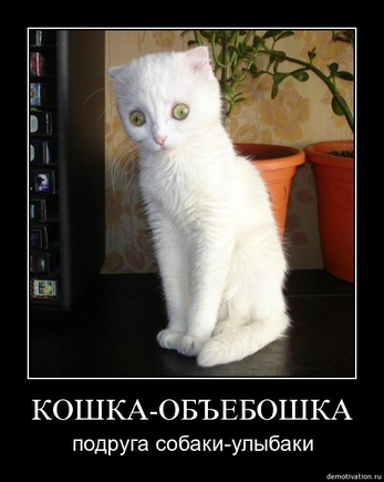 Покажите что-нибудь веселенькое?